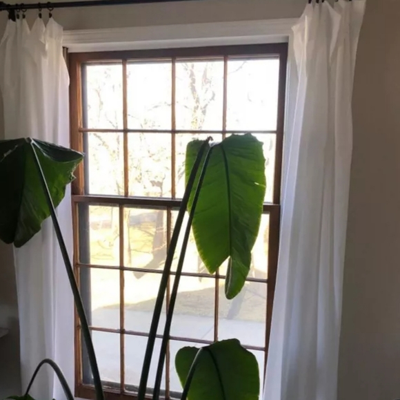 Farrah Curtain Panel - Threshold - Picture 15 of 16